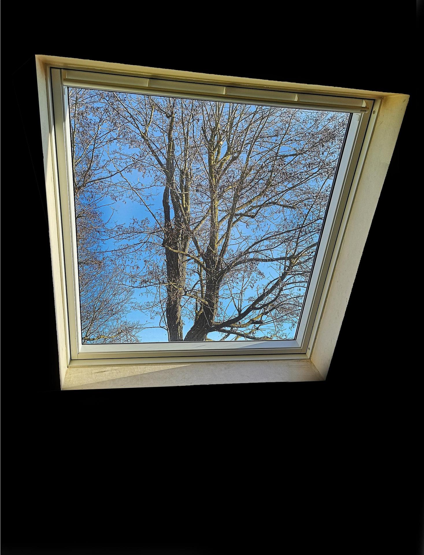 Velux Windows Fascias & Glazing Work